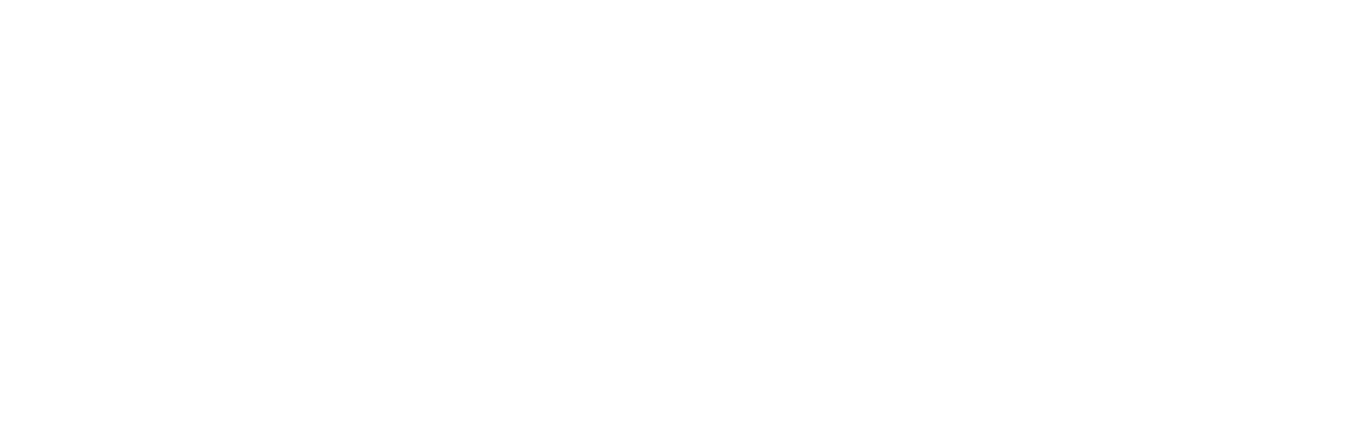 Leswan Leather